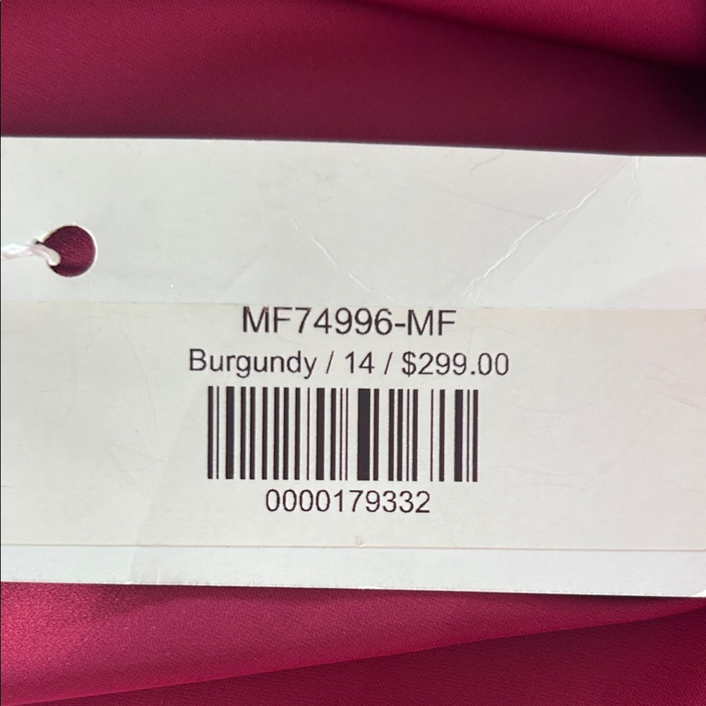 Ladivine Burgundy Gown - Picture 12 of 13
